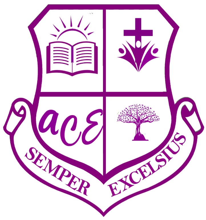 Access High School Logo